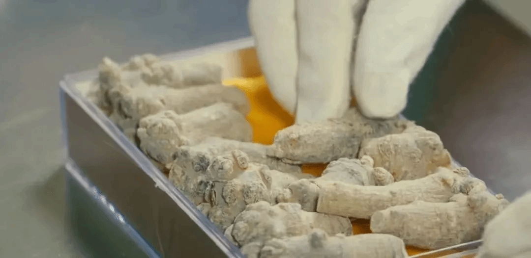 首页| CA88集团中国唯一官方网站