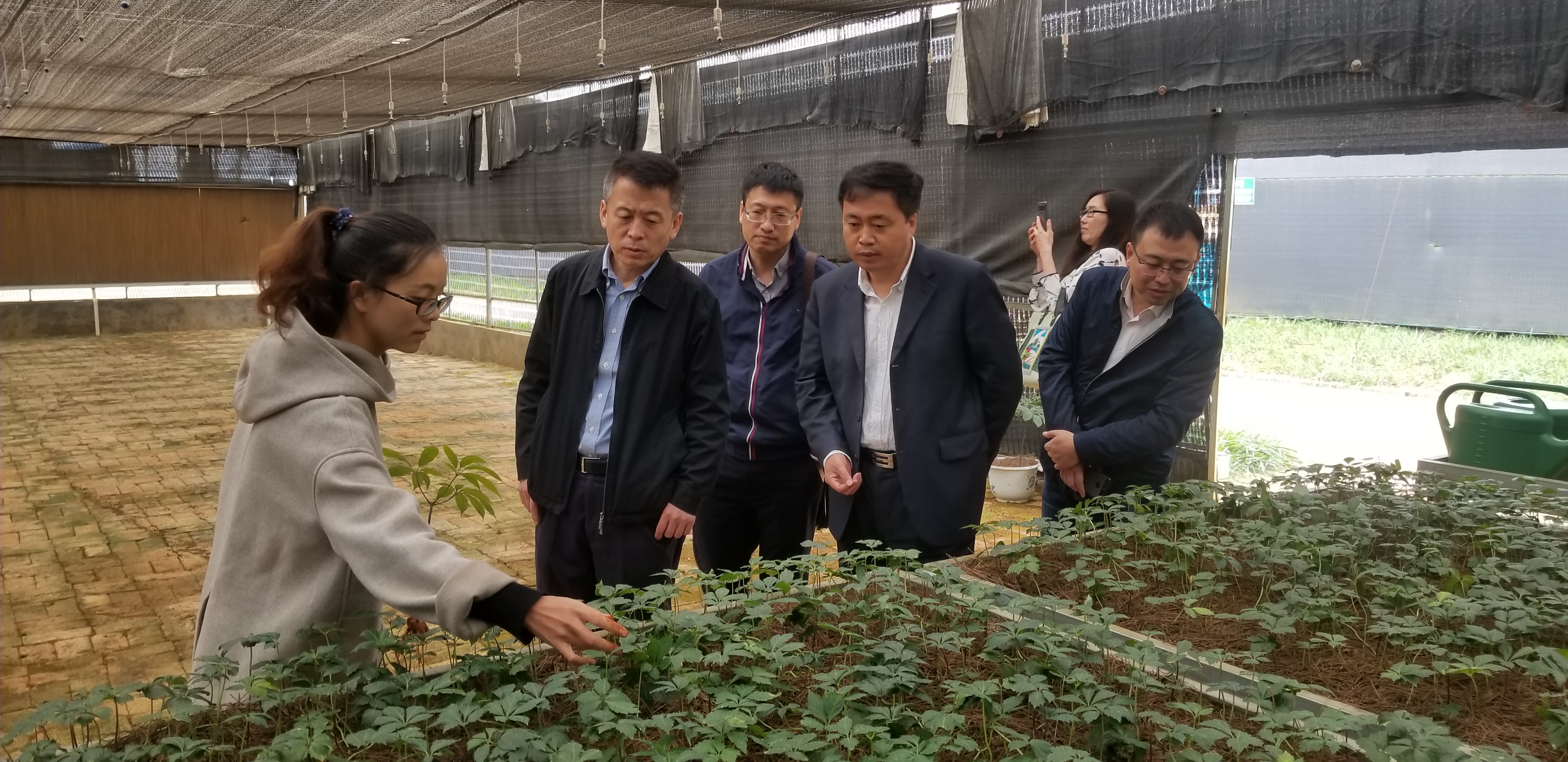0EB99CD64D54D343155D8214095_A7E9D7F7_2B6604.jpg?e= 首页| CA88集团中国唯一官方网站