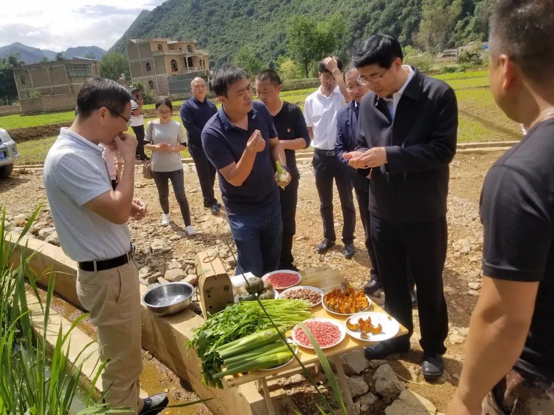 首页| CA88集团中国唯一官方网站