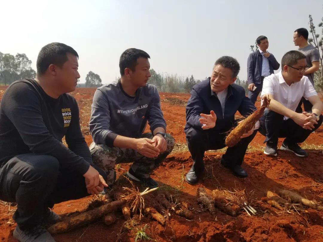 首页| CA88集团中国唯一官方网站