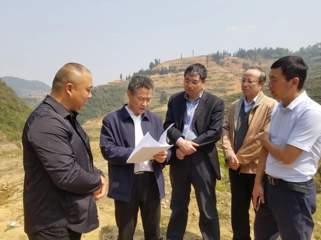 首页| CA88集团中国唯一官方网站